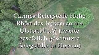 Carnica Belegstelle Hohe Rhön 9.Juni 2019