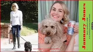 Celebrities With Their Adorable Pets Part 211/Camera