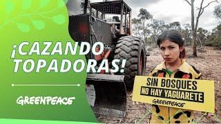 Cazando topadoras: desmontes en Santiago del Estero - Greenpeace Argentina