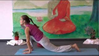 Intermediate Yoga Vidya  Class 20 Minutes