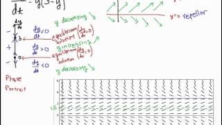 Slope Field Construction Logistic Equation