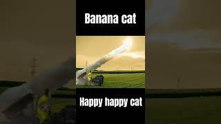 happy happy cat and banana cat # hot session | Abdullah Ansari |