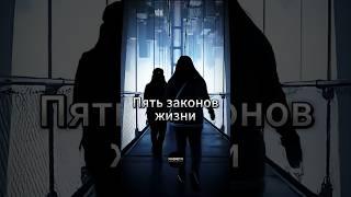 Пять законов жизни #мотивация #цитаты #жизнь #личность #мудрость #цитатыпрожизнь #психология
