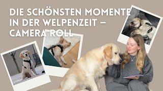 Die schönsten Momente in der Welpenzeit - Camera Roll