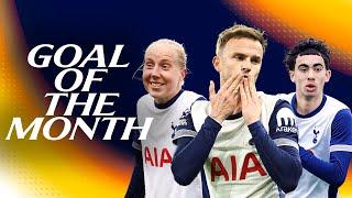 Tottenham Hotspur Goal of the Month | November 2024