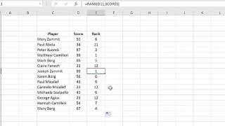 Demo 11: RANK and COUNTIF with wild cards.