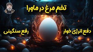 ️️تخم مرغ در ماورا  ️️ - شیخ کاوه ️