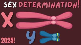 How Do Different Species Determine Sex? Insights for AP Bio Students