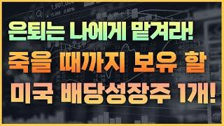 빅테크 NO, 당신의 은퇴를 책임질 딱! 1개의 미국 배당성장주 | 자녀에게 물려주면 좋을 탠베거 주식