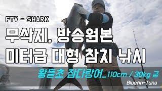 [FTV한국낚시채널] 샤크 SHARK 무삭제 방송원본 - 미터급 대형 참치 낚시