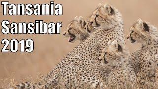 Safari Tanzania and beach holiday on Zanzibar 2019