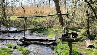 Bird Feeders, Wildfowl and Wetlands Trust, Caerlaverock, Dumfries and Galloway, Scotland, UK.