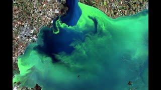 Using Harvested Algae Blooms to Make Sustainable Materials AND Clean Water