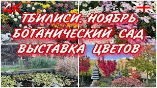 ТБИЛИСИ. ВЫСТАВКА ЦВЕТОВ И ПРОГУЛКА ПО ОСЕННЕМУ БОТАНИЧЕСКОМУ САДУ В НАЧАЛЕ НОЯБРЯ. ОСЕННИЙ РЕЛАКС