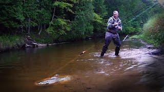 River Salmon Float Fishing 2022 - BOBBER DOWN Action & Tips