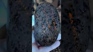 This fluorescent Sodalite looks like claw marks on it! #rocks #rockhounding #yooperlite