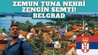 Belgrad Zemun Zengin Semti! BEOGRAD/SIRBİSTAN - 24.Bölüm #balkan #shorts #shortvideo #travel #keşfet