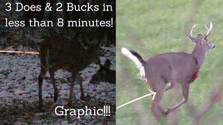 3 Does and 2 Bucks Down: Last Buck Is A Heart Shot | EXTREMELY GRAPHIC BLOOD LOSS