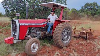 MASSEY FERGUSON 275 RECORD NA GRADE DE 12 DISCOS!!!DICAS DE AMACEAMENTO DO MOTOR E DE SERVIÇO TOP...