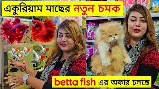 Aquarium Price In BangladeshAquarium Fish Price In Bangladesh 2025 Aquriam Fish Price BD