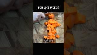 이게 된다고?