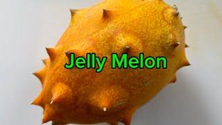 One of the Strangest Things I’ve Grown! | Jelly Melon/Kiwano Melon