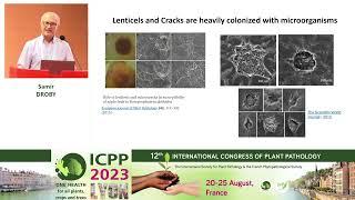 ICPP2023:  Round-table on the Pathobiome - New understanding of postharvest diseases