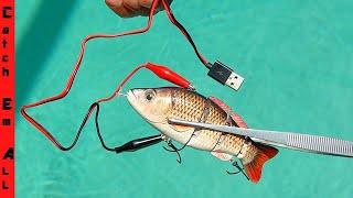 ROBOTIC FISHING LURE! **Does the Animated Lure really catch fish?**