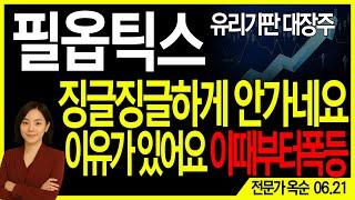필옵틱스 주가전망] [속보] 본격적인 폭등 시작 구간 진입 흔들리지 마세요, 세력은 이미 매집 | 주도주연구소DS 옥순