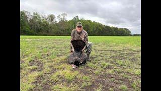 Dad's Opening Day Thunder Chicken