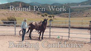 Round Pen Work and Building Confidence in Horses with Cody Deering