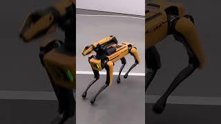 Boston dynamics robot dog at CES 2024