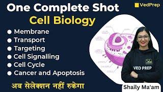 Membrane | Transport Targeting | Cell | Life Sciences | Cell Biology | One Complete Shot | VedPrep