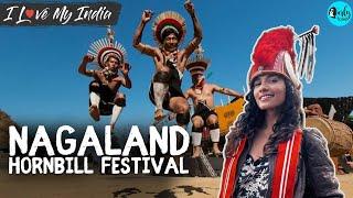 Nagaland: Hornbill Festival | The Land Of Festivals | I Love My India Ep 64 | Curly Tales