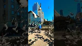 lord of the birds  #top #rec
