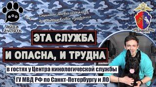 Центр кинологической службы ГУ МВД РФ по СПб и ЛО | поиск наркотиков и взрывчатки, задержания