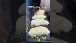 일본 길거리에서만 만날 수 있는 전설의 붕어빵