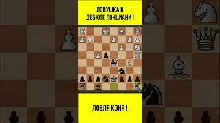 Шахматы. ЛОВУШКА в Дебюте Понциани! #shorts #chess #chessbullet #chessblitz