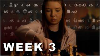 Study Openings the RIGHT Way | Build a Chess Study Plan | Week 3 | Openings and Endgames