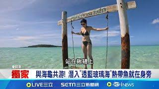 不用四小時直達美國領土! 前進關島"最美度假天堂" 陽光沙灘比基尼! 一同前進"關島"太平洋樂園｜記者 楊沚豫 張庭翔｜國際關鍵字20241213│三立iNEWS