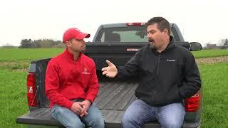 Bumper Crops: Trapping nitrogen with cover crops