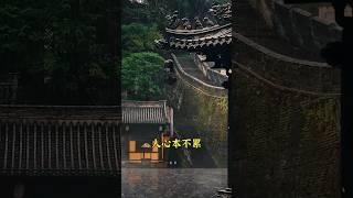 人生這條路很長，不必躊躇於過去的半畝方塘。 #正能量 #佛教 #智慧