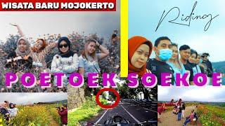 Poetoek Soekoe Trawas Mojokerto || Wisata Baru || Gang Musik