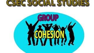 SOCIAL GROUPS & INSTITUTIONS CSEC LECTURE SERIES (GROUP COHESION)