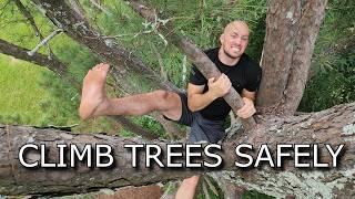 How To CLIMB TREES SAFELY With No Equipment