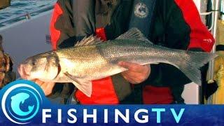 Fishing for Winter Bass on Lures - Fishing TV