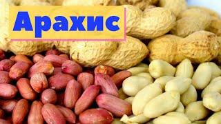 Арахис | Как это сделано | Peanut