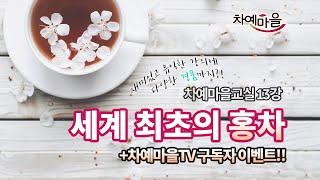 차예마을TV 구독자 이벤트 진행!｜홍차의 시작, 훈연향을 머금은 정산소종 홍차 우리는 법과 탄생 배경