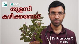 Want to eat basil?  This is What Science Reveals About Tulsi, the Mother of all Herbs 🩺 Malayalam