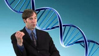 Stephen Meyer on Intelligent Design  What is the origin of digital information found in DNA?